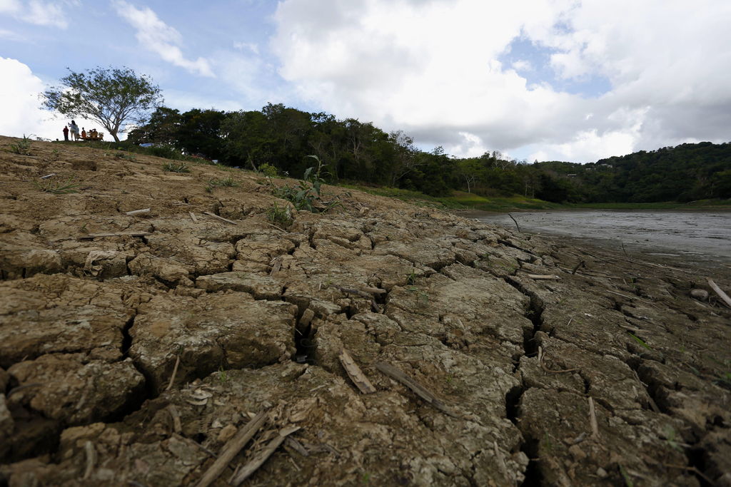 El 50 % de Puerto Rico no sufre de sequía por primera vez en tres meses Por primera vez en tres meses, al menos el 50 % del territorio de Puerto Rico no sufre de sequía, según reveló el más reciente informe del Monitor de Sequía de Estados Unidos.
