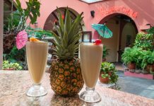 La piña colada cumple 65 años en medio de disputa del lugar de su creación La famosa y popular bebida piña colada cumple 65 años de su creación.