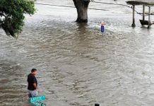 Las fuertes lluvias registradas en la zona este pasado fin de semana debido a la tormenta han alterado sustancialmente el hábitat de estos reptiles.