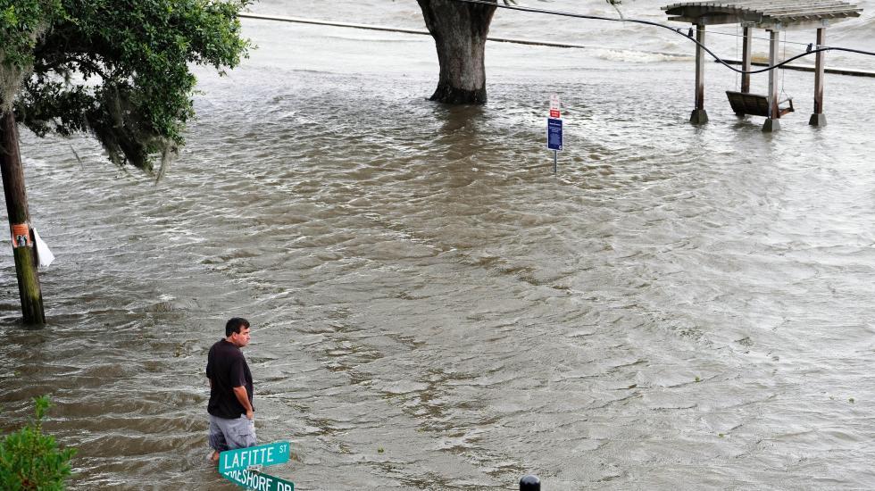Las fuertes lluvias registradas en la zona este pasado fin de semana debido a la tormenta han alterado sustancialmente el h&aacute;bitat de estos reptiles.