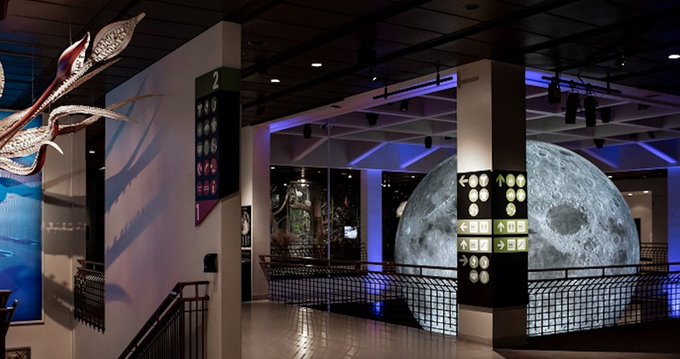 La gran esfera lunar ha sido ubicada a tan solo unos metros del suelo lo que, junto con una tenue iluminaci&oacute;n en la sala, realza los detalles de alta precisi&oacute;n y minuciosidad de la luna.