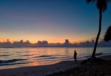 República Dominicana recibió más de 3,5 millones de turistas en semestre, 3,9 % más La llegada de pasajeros no residentes durante el mes de junio de 2019, según regiones de residencia, reflejan que el 64,1 % de los visitantes.