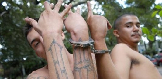 El tráfico de drogas y las maras son los principales causas de esta situación en los tres casos.