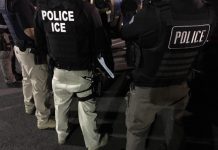 Alguacil deja base de datos para combatir el crimen porque también la usa ICE en julio el auditor del condado de King dijo que encontró que ICE había accedido a una base de datos en línea de la cárcel local más de 1.000 veces.