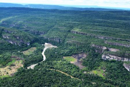 "Algunos pa&iacute;ses est&aacute;n con ideas raras sobre la soberan&iacute;a nacional en la Amazon&iacute;a", afirm&oacute; Ar&aacute;ujo.
