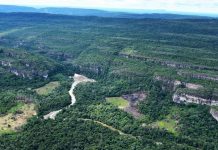 Brasil carga contra las "ideas raras" de internacionalizar la Amazonía "Algunos países están con ideas raras sobre la soberanía nacional en la Amazonía", afirmó Aráujo.