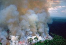 Brasil reafirma su polémica política medioambiental mientras la Amazonía arde.