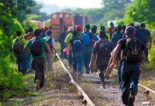Casi un tercio de migrantes experimenta violencia en su tránsito por México El estudio encontró que, del total de participantes en este estudio, el 29,4 % afirmó que había sufrido algún tipo de violencia.