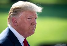 Supuesto plan de Trump de comprar Groenlandia desata hilaridad en Dinamarca El supuesto interés del presidente Donald Trump, en comprar Groenlandia a Dinamarca ha generado un aluvión de reacciones.