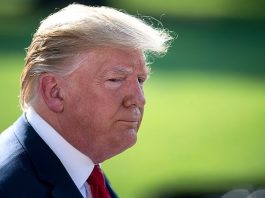El supuesto interés del presidente Donald Trump, en comprar Groenlandia a Dinamarca ha generado un aluvión de reacciones.