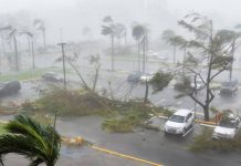 La depresión tropical número cinco presenta un movimiento al este-sureste de 12 millas por hora y vientos máximos sostenidos de 35 millas por hora.