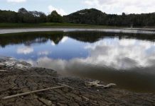 Hace tres semanas, el porcentaje de sequía severa en la isla estaba en 12,03 %, pero aumentó a 14,34 %.