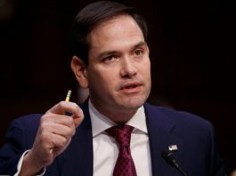 Congresistas de ambos partidos presentaron un proyecto de ley federal encaminado a actualizar una ley de protección de arrecifes y asegurar recursos para este "devastado" ecosistema, informó este viernes el senador Marco Rubio.