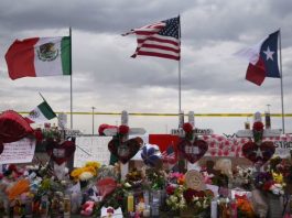 México resaltó que la Carta de la OEA proclama los derechos fundamentales de la persona humana sin hacer distinción de raza, nacionalidad, credo o sexo.