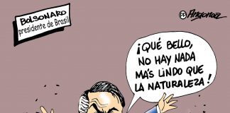 No hay nada más lindo que la naturaleza.