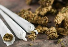 Un negocio dudoso El impacto de la marihuana en las comunidades minoritarias, como la latina, es innegable.