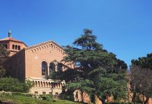 Un joven canadiense logró una beca en la Universidad de California Los Ángeles (UCLA) por jugar fútbol, aunque no practicaba este deporte.