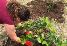 Los jóvenes participaron durante el pasado año académico de actividades de reforestación y siembra de árboles nativos.