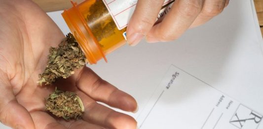 Los reguladores de México, Uruguay, Colombia, Brasil, Perú, Jamaica y San Vicente y las Granadinas participaron en el primer foro de reguladores de cannabis medicinal.