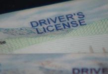 Una coalición de organizaciones proinmigrantes de Nueva York pidió este jueves a un tribunal del estado que descarte una demanda que busca impedir la puesta en marcha de la ley que autoriza las licencias de conducir para indocumentados.