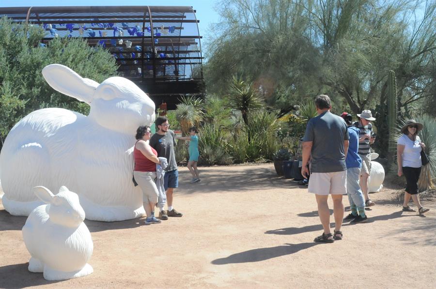Arte plástico milanés "invade" Arizona en pos del medioambiente y de animales.