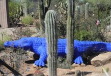 Arte plástico milanés "invade" Arizona en pos del medioambiente y de animales.
