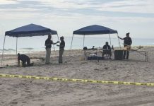 El cuerpo sin vida de ella fue hallado en la orilla de la playa a primeras horas del miércoles