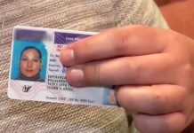 Vetan uso de datos de licencias de indocumentados a Inmigración en California La iniciativa surgió después de que en algunas detenciones de inmigrantes sin papeles las autoridades federales de inmigración tuvieran acceso a copias de sus licencias de conducir.