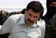 Desde su fundación en la década de 1980, el cártel de Sinaloa ha sido una de las organizaciones más poderosas del narcotráfico en México, controlado en buena medida por Joaquín "el Chapo" Guzmán y su descendencia.