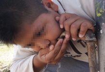 El Departamento de Salud publicó hoy su último Informe trimestral de control de plomo en la sangre en niños que abarca el primer y segundo trimestre de 2019.