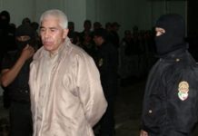El arresto de Caro Quintero estuvo precedido de 12 operaciones fallidas Una Jueza Federal mexicana otorgó al capo Rafael Caro Quintero un amparo contra la extradición a Estados Unidos