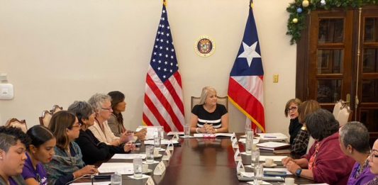 Este comité se une al "estado de alerta nacional" anunciado por la gobernadora de Puerto Rico, Wanda Vázquez.