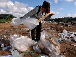 El hambre aumentó en América Latina en 2018 y afectó a 42,5 millones de personas, el 6,5 % de la población de la región, en la que también se incrementó la inseguridad alimentaria