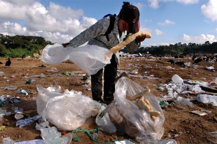 El hambre aumentó en América Latina en 2018 y afectó a 42,5 millones de personas, el 6,5 % de la población de la región, en la que también se incrementó la inseguridad alimentaria
