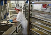 Aproximadamente tres millones de hogares en Estados Unidos se sustentan por mujeres latinas