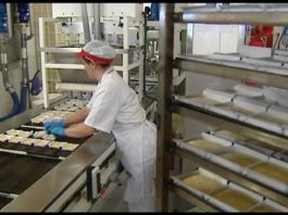 Aproximadamente tres millones de hogares en Estados Unidos se sustentan por mujeres latinas