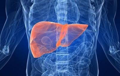 El investigador concluy&oacute; que los niveles de colesterol est&aacute;n &iacute;ntimamente relacionados con la progresi&oacute;n tumoral: entre m&aacute;s colesterol tenemos m&aacute;s progresi&oacute;n y, por tanto, un tumor m&aacute;s agresivo.