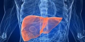El investigador concluyó que los niveles de colesterol están íntimamente relacionados con la progresión tumoral: entre más colesterol tenemos más progresión y, por tanto, un tumor más agresivo.