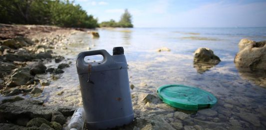 Incontables y milimétricos trozos de botella, etiquetas y bolsas de plástico degradan la ecología del Caribe Mexicano.