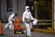 México registra 31.688 asesinatos de enero a noviembre de 2019 El secuestro y la extorsión fueron los delitos que más se incrementaron en noviembre de 2019 con porcentajes respectivos de 23,15 % y de 23,48 %.