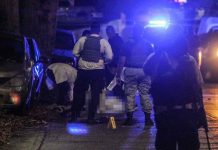 Las mayores tasas de asesinatos por cada 100.000 habitantes son las de Colima (88), Baja California (74,2) y Chihuahua (63,2).
