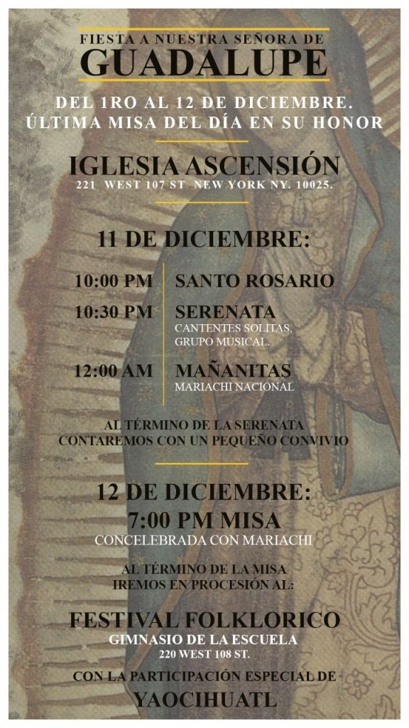 Programa Virgen de Guadalupe.