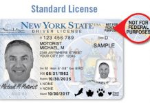 ¿Que necesita saber un indocumentado para tener licencia conducir en Nueva York? Se calcula que en el estado de Nueva York viven en torno a 940.000 inmigrantes indocumentados que hasta ahora no podían acceder a la documentación que les permitía conducir