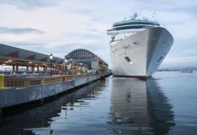 La compañía de cruceros Royal Caribbean adelantó tras conocer los detalles de la APP que limitaría los atraques en la capital a partir de 2021.