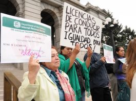 Impulsan ley para dar licencias de conducir a indocumentados en Pennsylvania El Departamento de Justicia de EE.UU. presentó un documento en una corte federal de Nueva York en apoyo a un empleado del condado de Rensselaer, al norte del estado, que ha cuestionado en un tribunal la constitucionalidad de una ley que permite dar licencias de conducir a indocumentados.