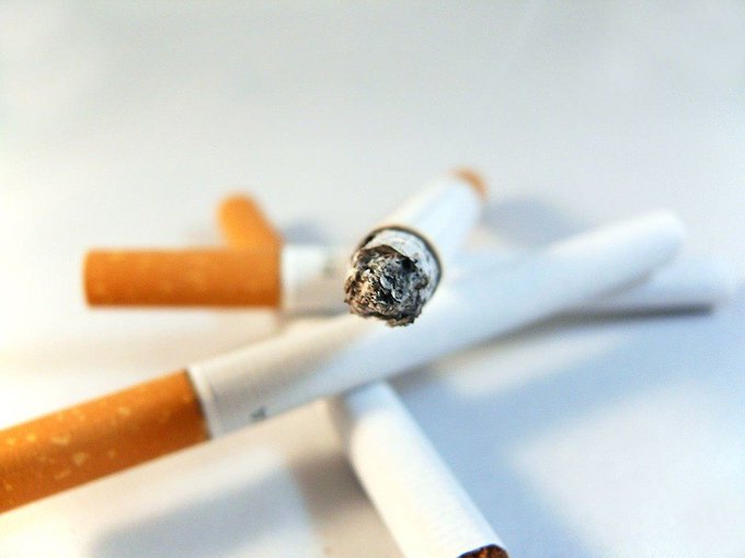 La Organización Mundial de la Salud (OMS), que mantiene una posición contraria a cualquier forma de tabaco, ha revelado en sus estudios que al menos 1.000 millones de personas en el mundo son fumadoras.