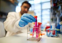 Los científicos del Instituto Sloan Kettering de Nueva York, liderado por el oncólogo español Joan Massegué, descubrieron que la capacidad de los cánceres para hacer metástasis depende de su capacidad para cooptar las vías naturales de reparación de heridas