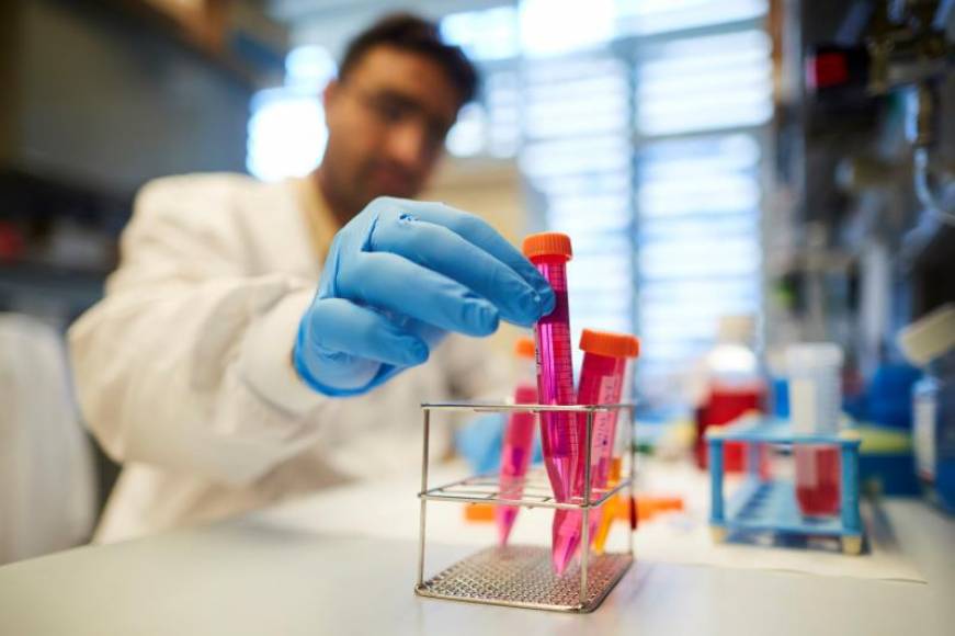 Científicos abren vía a posible tratamiento Los científicos del Instituto Sloan Kettering de Nueva York, liderado por el oncólogo español Joan Massegué, descubrieron que la capacidad de los cánceres para hacer metástasis depende de su capacidad para cooptar las vías naturales de reparación de heridas