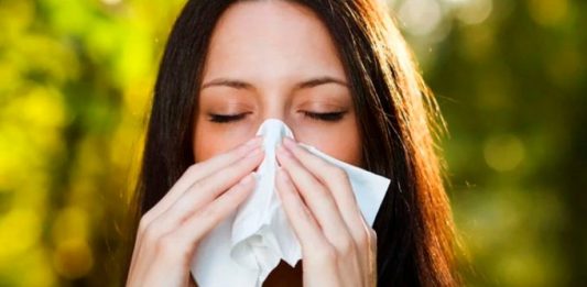 Actualmente, dijo la experta, existen estudios que han demostrado que la contaminación es uno de los problemas que pueden agudizar los síntomas alérgicos.