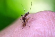 La ONU también alertó que el número de mujeres embarazadas con malaria aumentó un 55% en todo país y que se han notificado casos "en casi todos los estados".